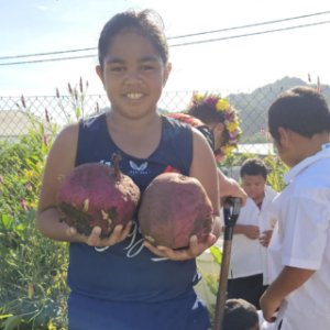 apii arorangi news release growing kumara